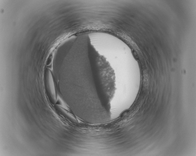 X0000087680626200706011655