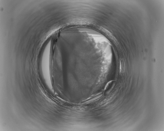 X0000087680627200706011655