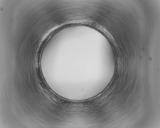 X0000087680628200706011655