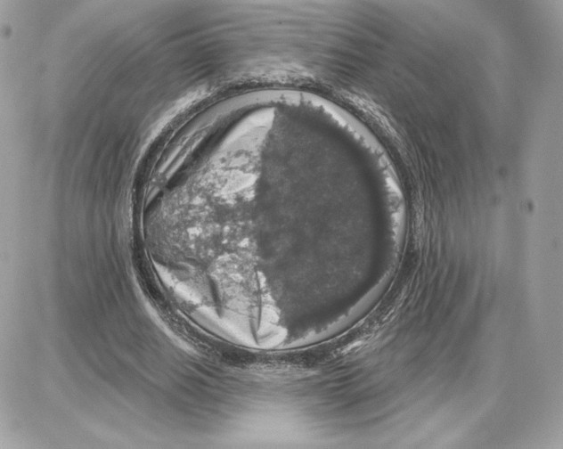 X0000087680630200706011655