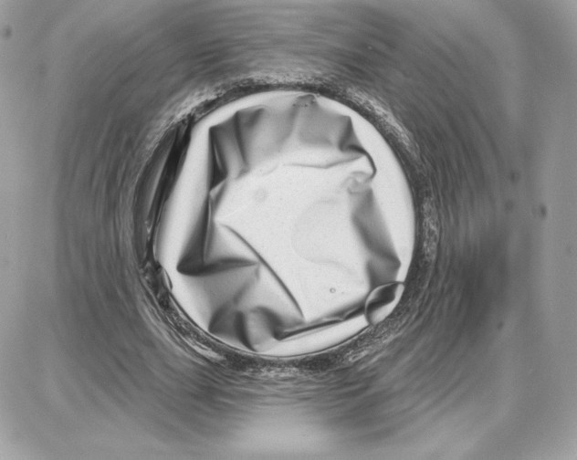 X0000087680631200706011655