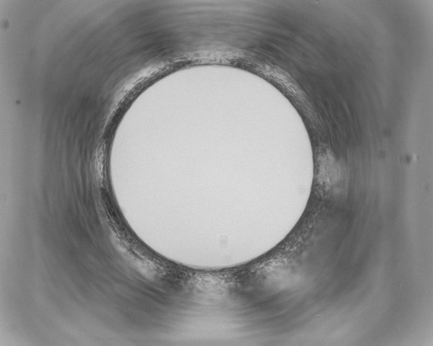 X0000087680632200706011655