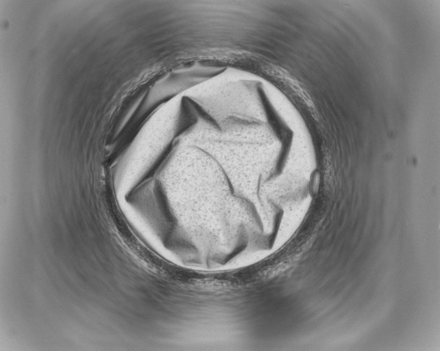 X0000087680633200706011655