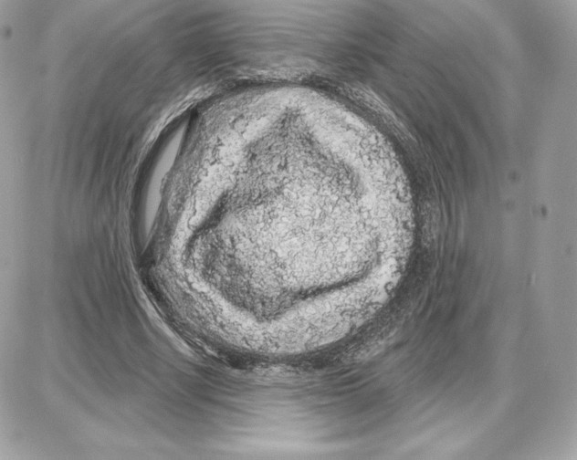 X0000087680634200706011655