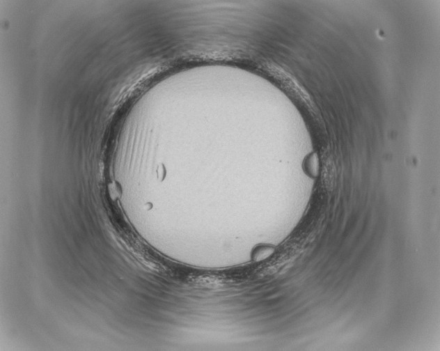 X0000087680635200706011655