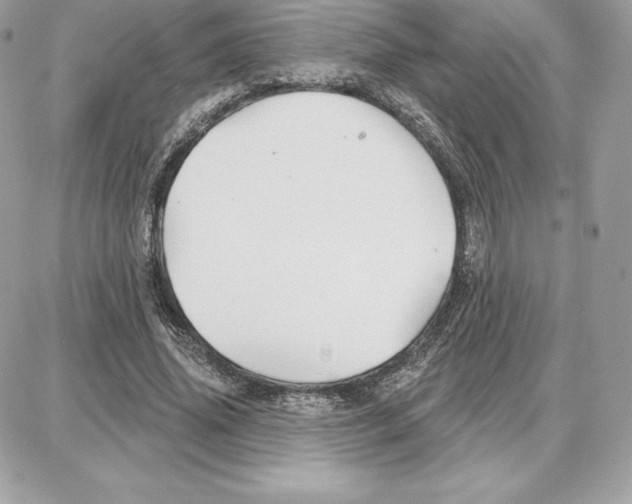 X0000087680636200706011655