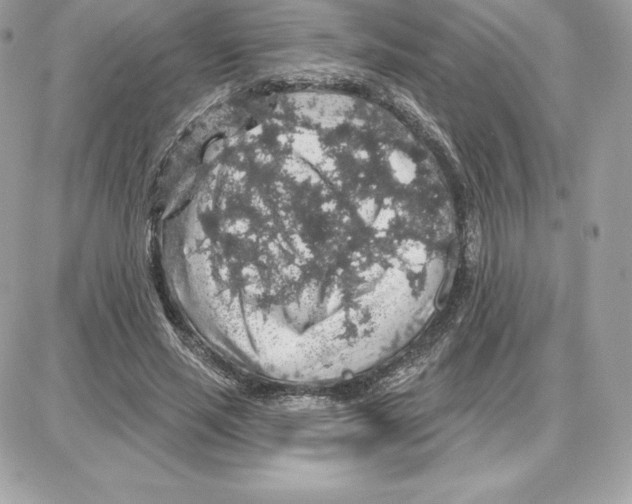 X0000087680637200706011655