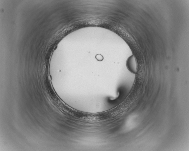 X0000087680639200706011655