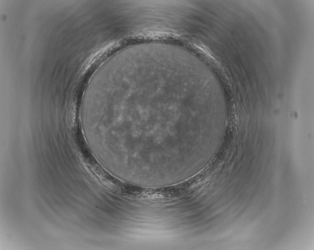 X0000087680640200706011655