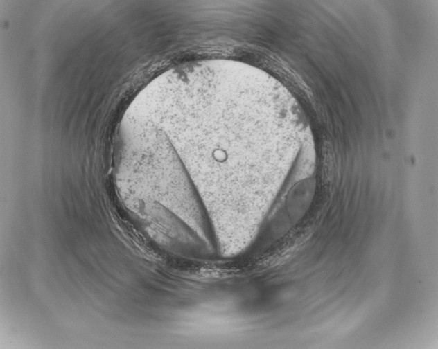 X0000087680641200706011655