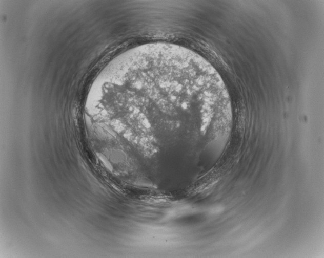 X0000087680643200706011655