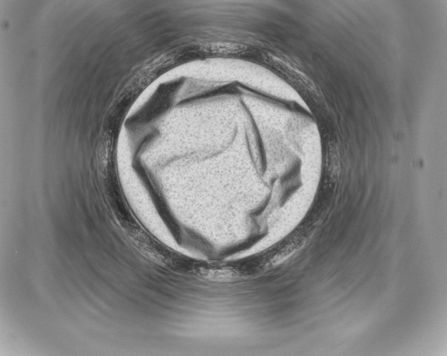 X0000087680645200706011655