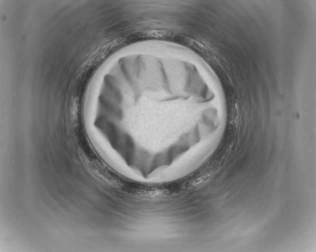 X0000087680646200706011655