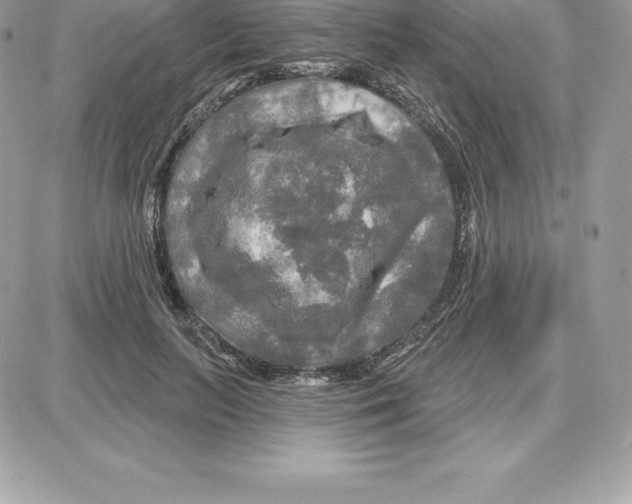 X0000087680647200706011655