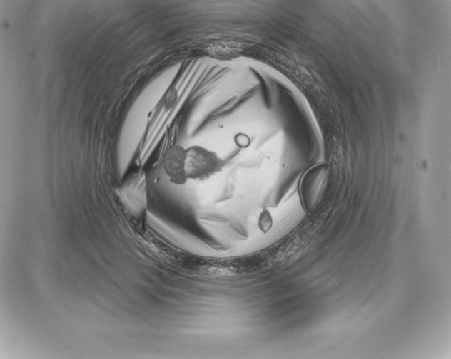 X0000087680649200706011655