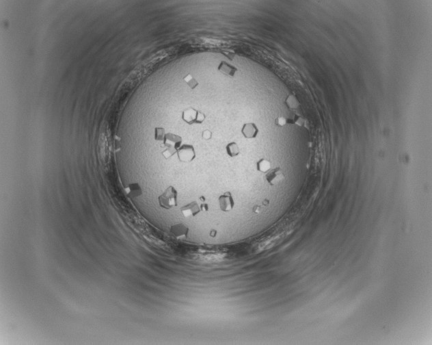 X0000087680651200706011655