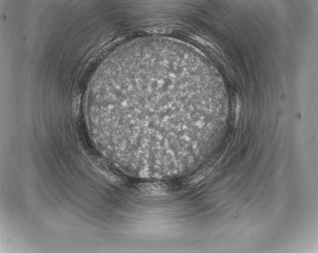 X0000087680652200706011655