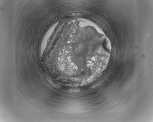 X0000087680653200706011655