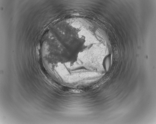 X0000087680654200706011655