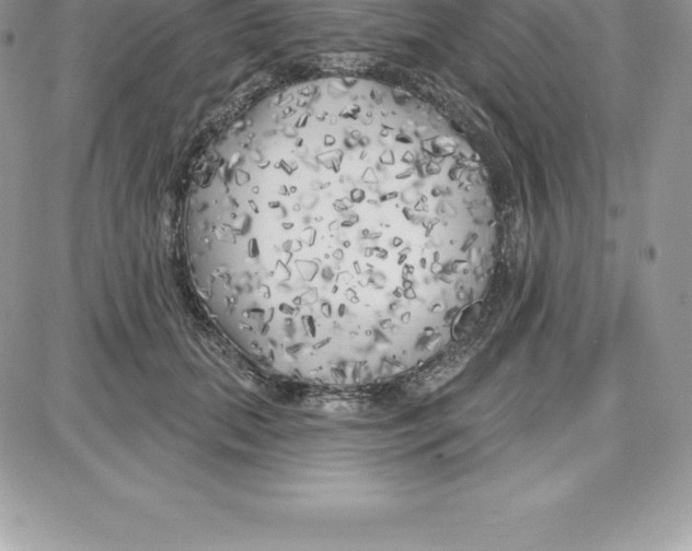 X0000087680655200706011655