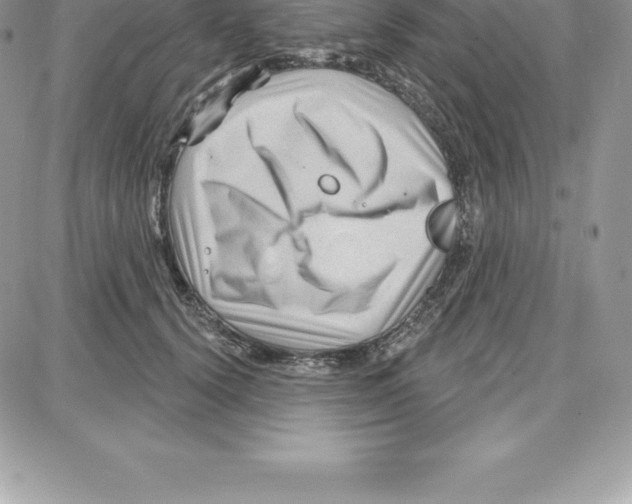 X0000087680656200706011655