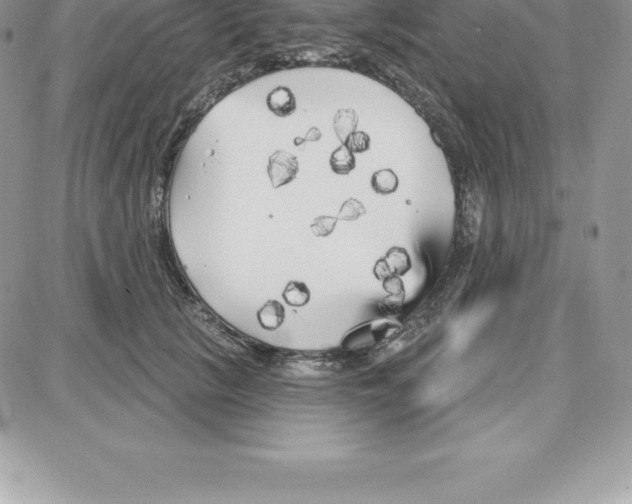 X0000087680657200706011655