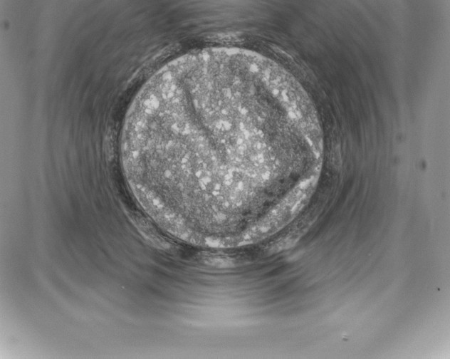 X0000087680658200706011655