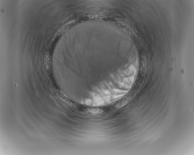 X0000087680659200706011655