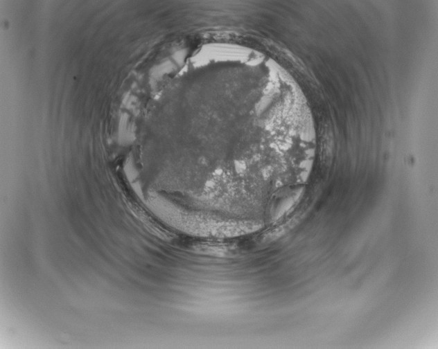 X0000087680661200706011655