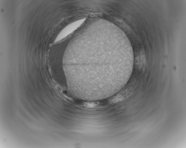 X0000087680662200706011655