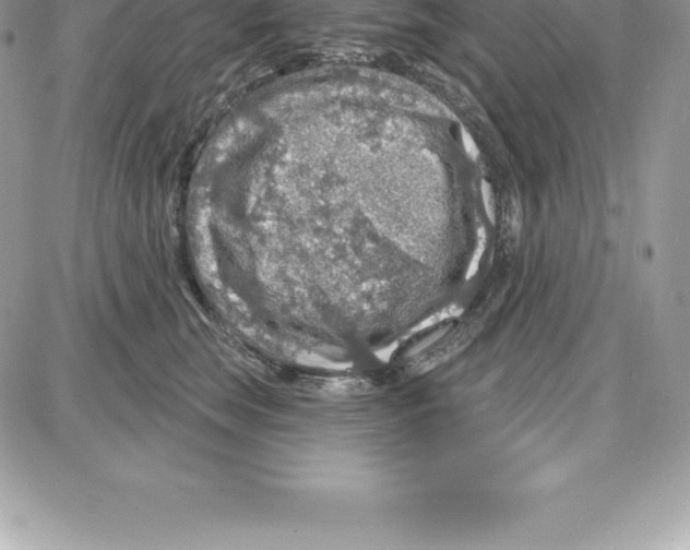 X0000087680663200706011655