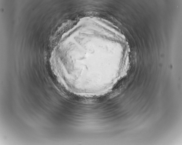 X0000087680664200706011655