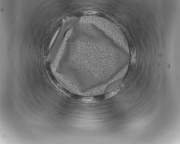 X0000087680666200706011655