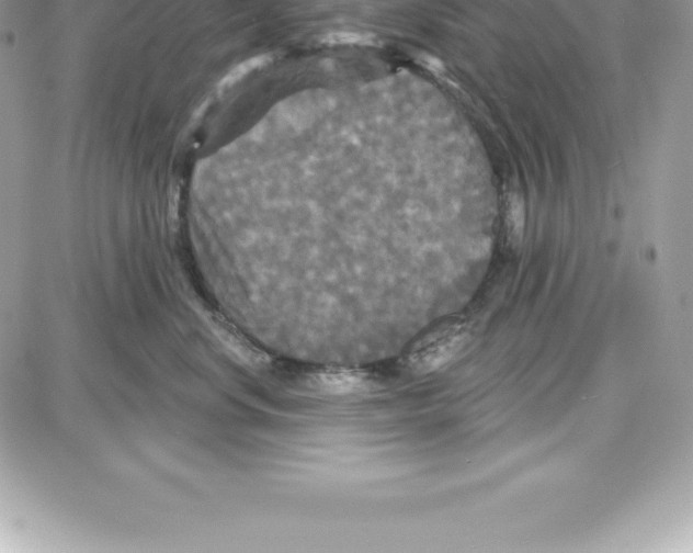 X0000087680668200706011655