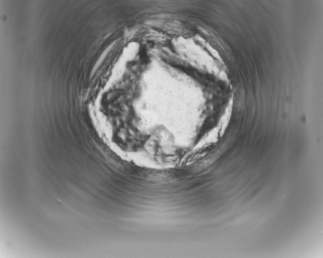 X0000087680669200706011655