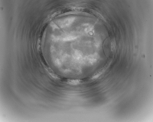 X0000087680671200706011655