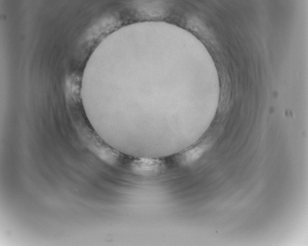 X0000087680672200706011655