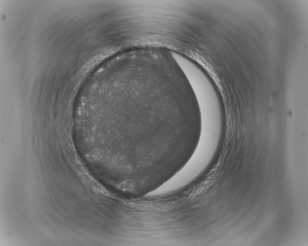 X0000087680673200706011655