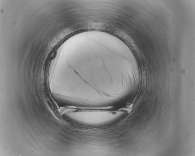 X0000087680674200706011655