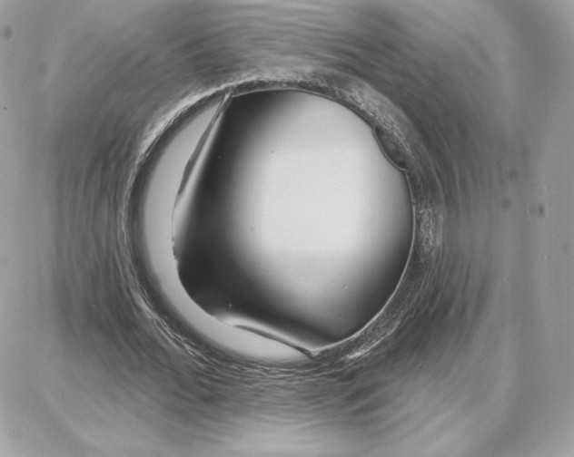 X0000087680676200706011655