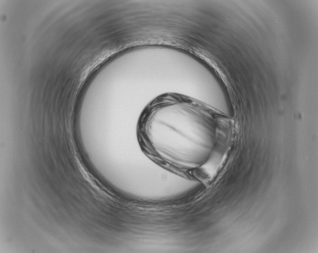 X0000087680677200706011655