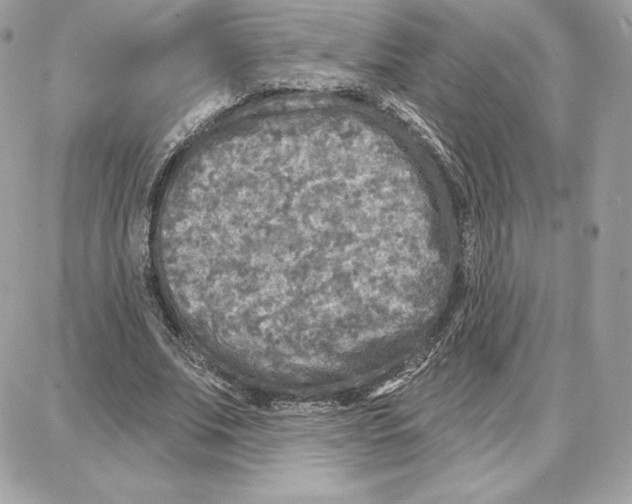 X0000087680679200706011655