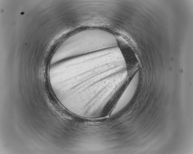 X0000087680680200706011655