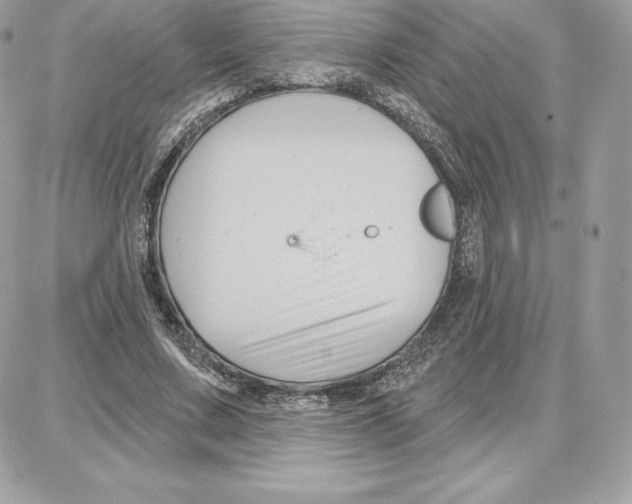 X0000087680683200706011655