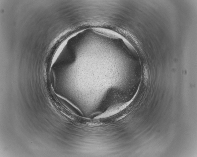 X0000087680684200706011655