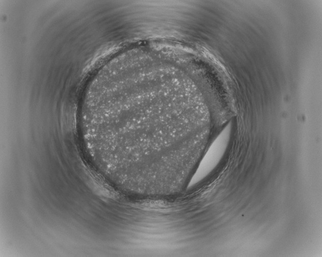 X0000087680685200706011655