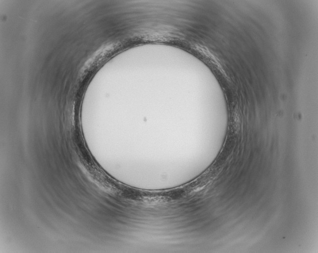 X0000087680686200706011654