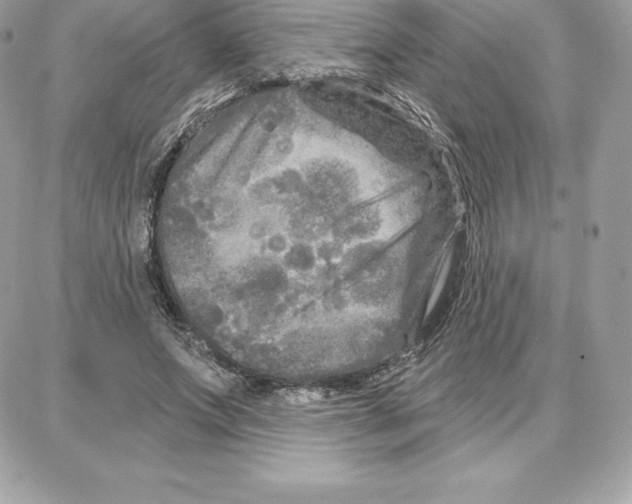 X0000087680687200706011654