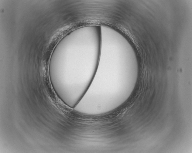 X0000087680688200706011654