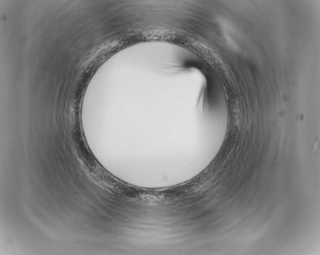 X0000087680690200706011654